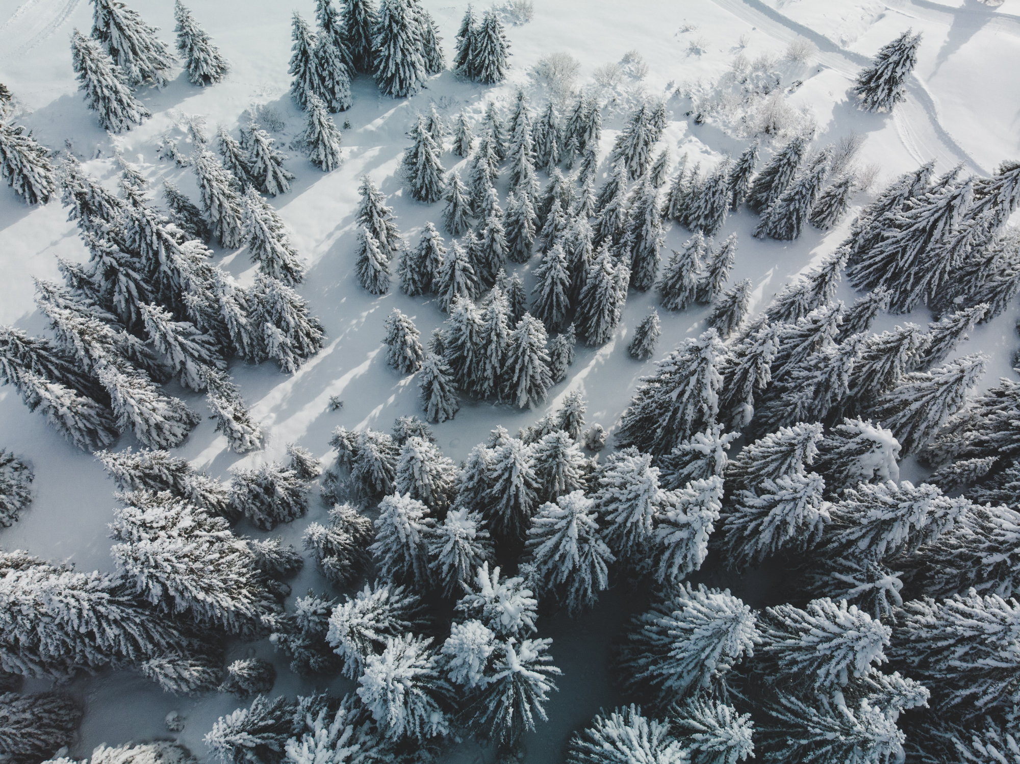 2020 Un Fleuve L'hiver 2020 Un Fleuve L'hiver