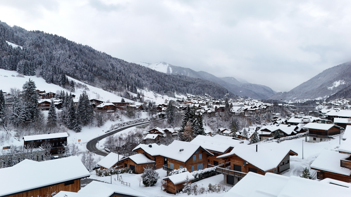 DJI_20251121160825_0761_D