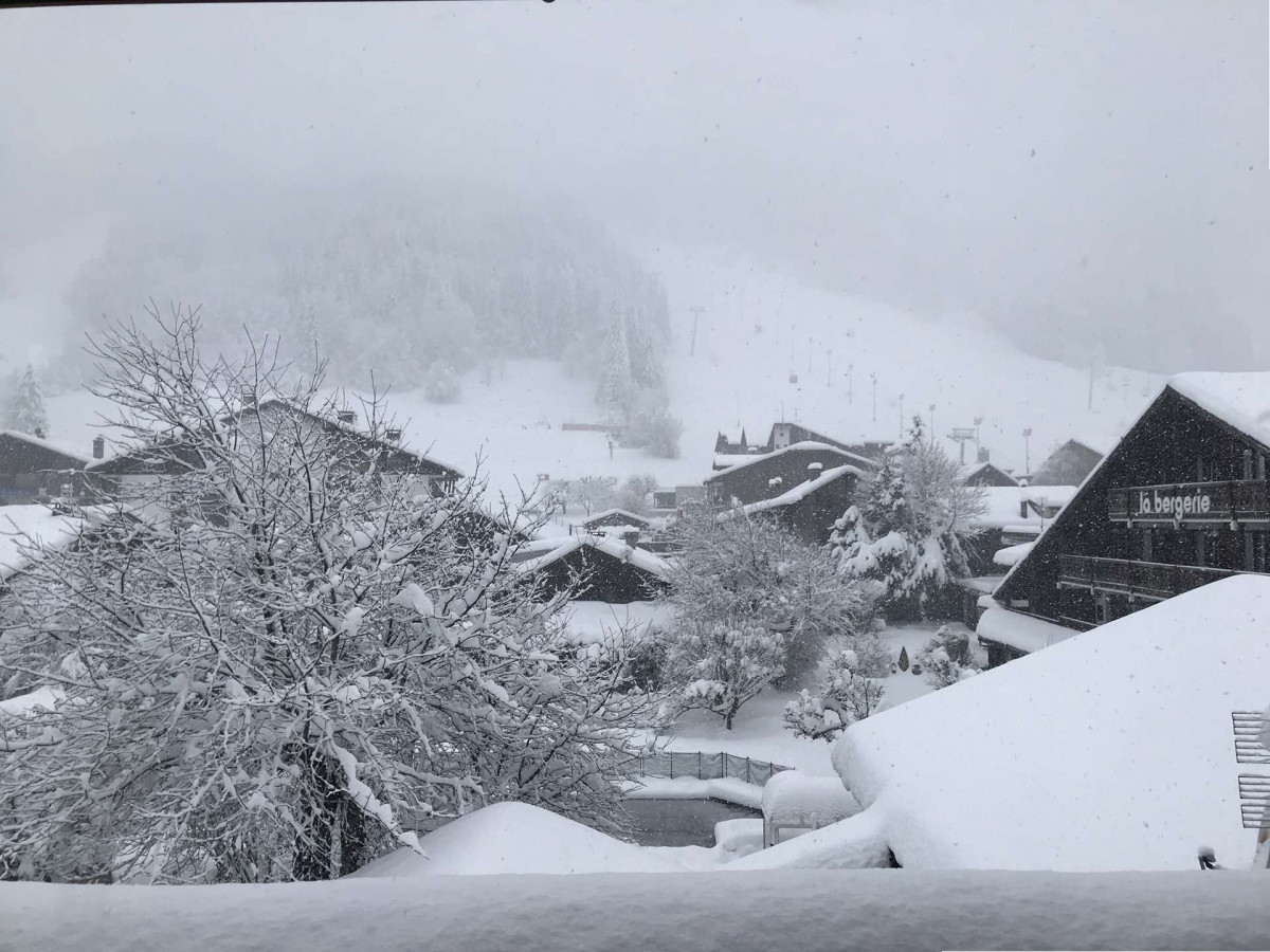 _clients_227411002_photos_240i_6619439