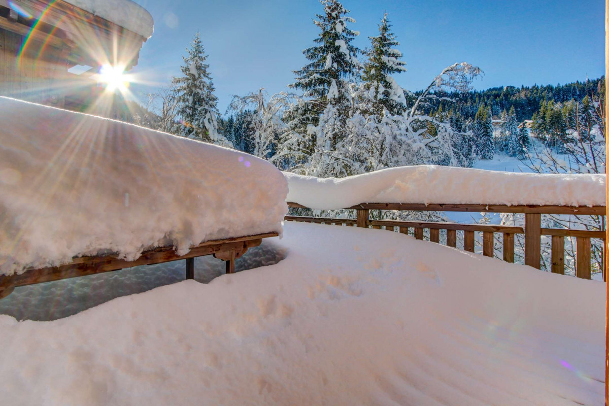 _clients_227411002_photos_248ac_6950633 _clients_227411002_photos_248ac_6950633