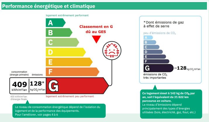 _clients_227411002_photos_338k_7055916 _clients_227411002_photos_338k_7055916