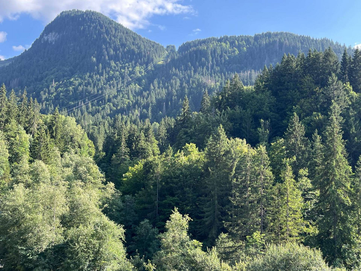 _clients_227411002_photos_391o_6632306