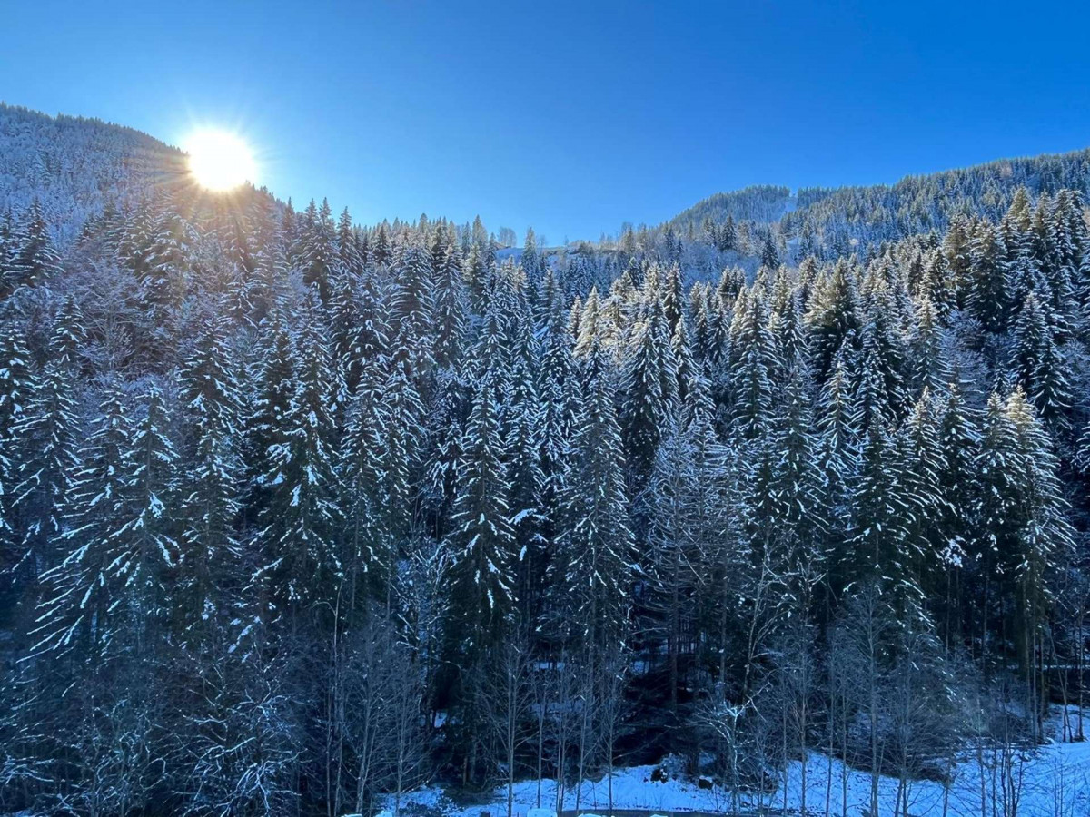 _clients_227411002_photos_391q_6799902