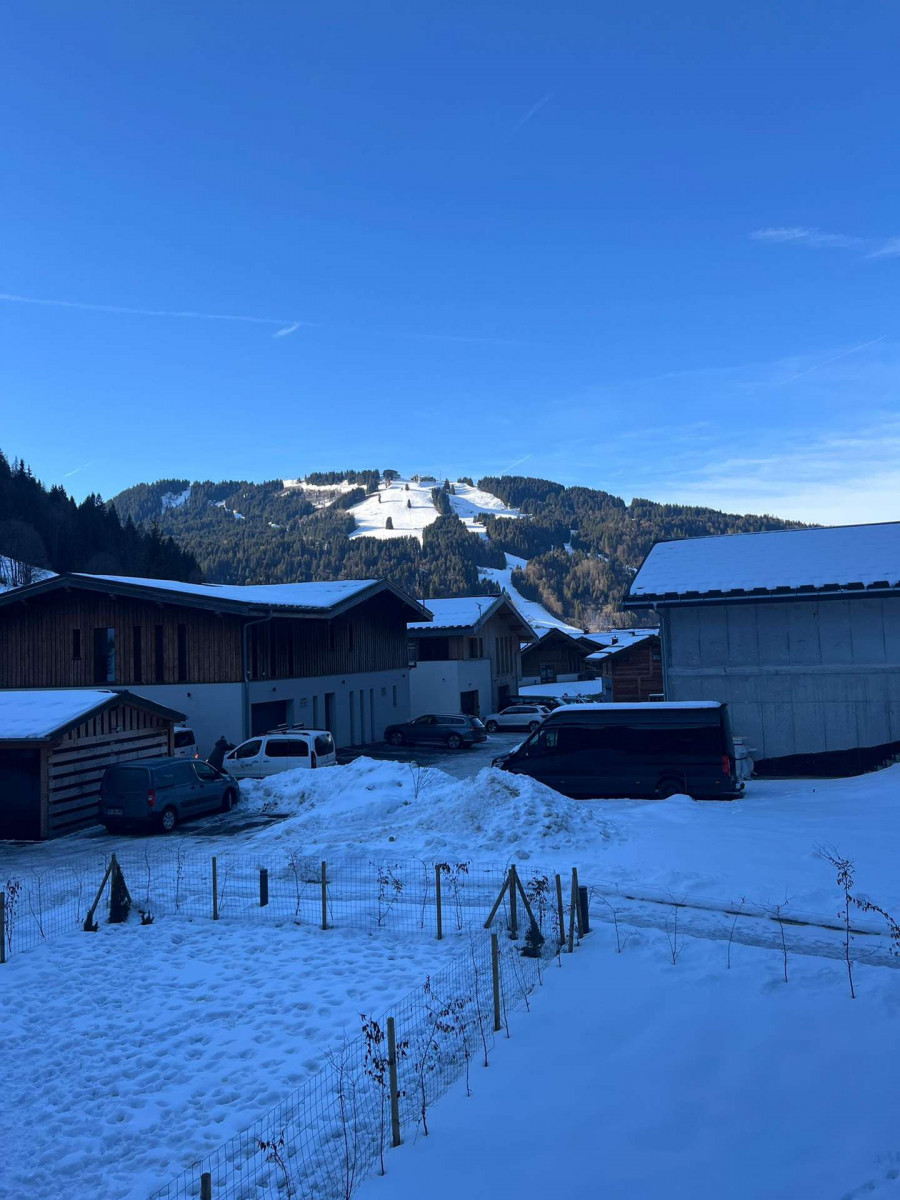 _clients_227411002_photos_397i_7009481 _clients_227411002_photos_397i_7009481