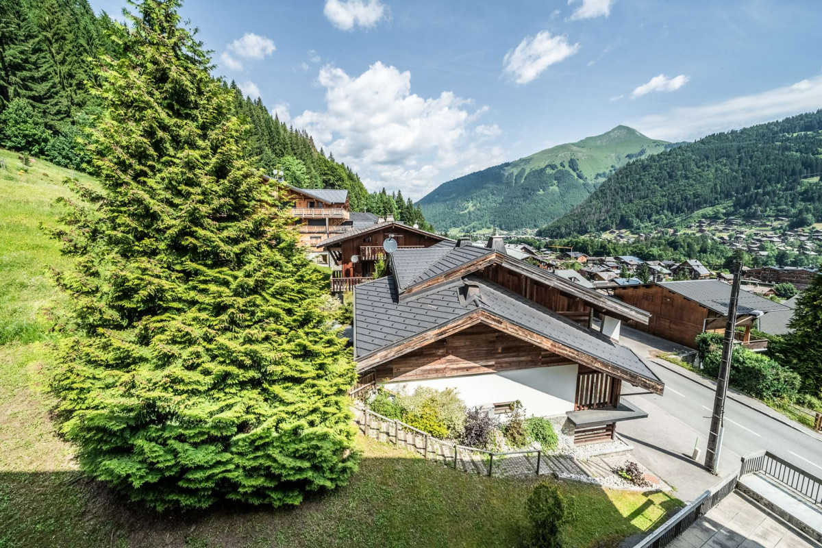 _clients_227411002_photos_48p_6891276