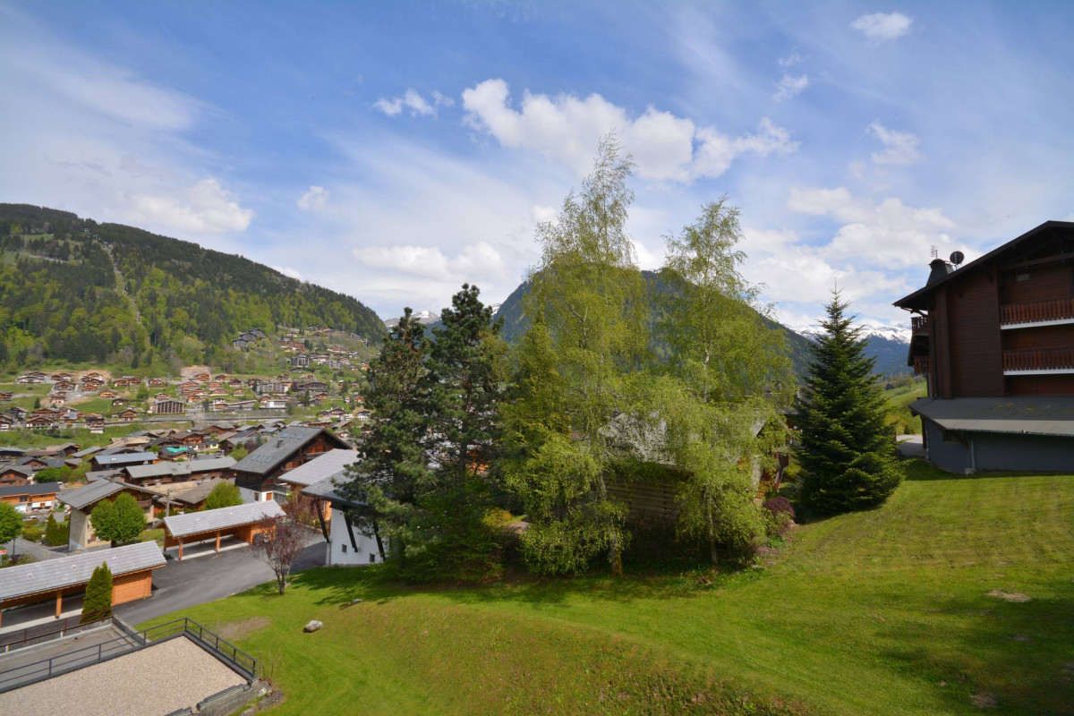 _lv_images__lot_0020392227_07_7128106 _lv_images__lot_0020392227_07_7128106