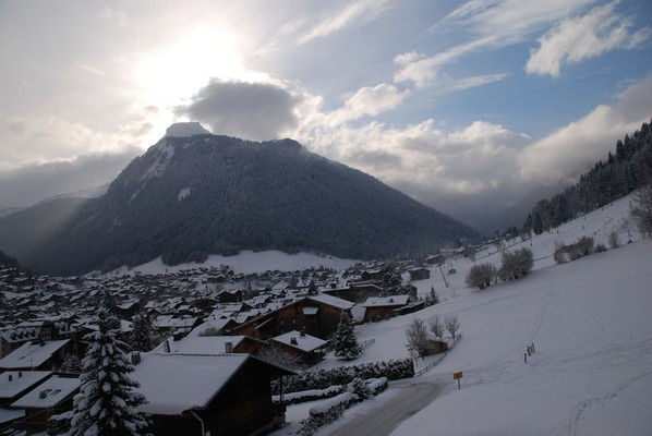 _lv_images__lot_0020392231_07_7234238