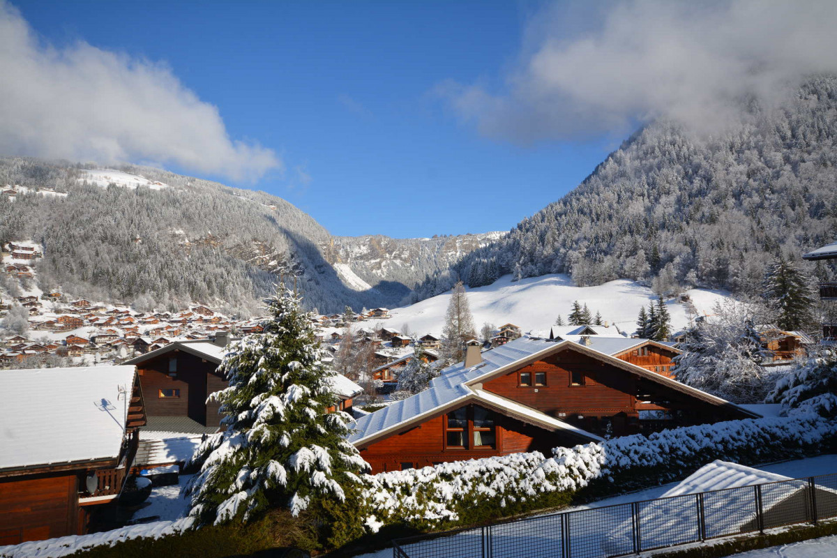 _lv_images__lot_0020392293_08_6828003 _lv_images__lot_0020392293_08_6828003