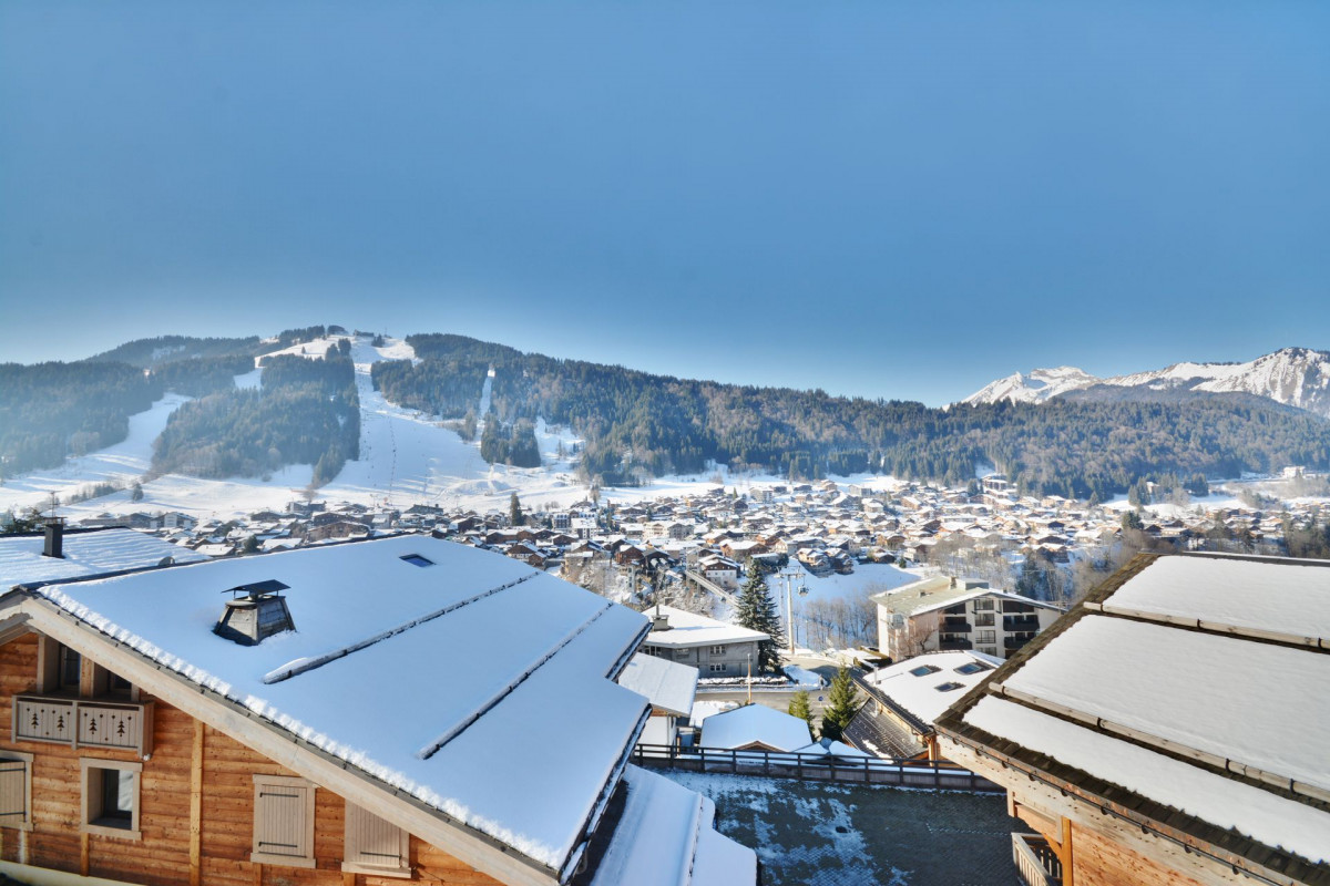 _lv_images__lot_0020392305_07_6655435 _lv_images__lot_0020392305_07_6655435