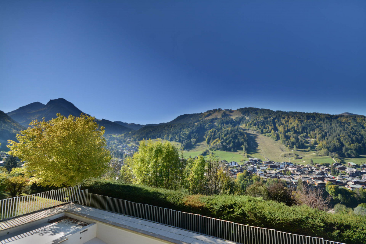 _lv_images__lot_0020392410_08_7132092 _lv_images__lot_0020392410_08_7132092