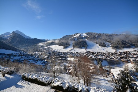 _lv_images__lot_0020392410_09_7132093 _lv_images__lot_0020392410_09_7132093