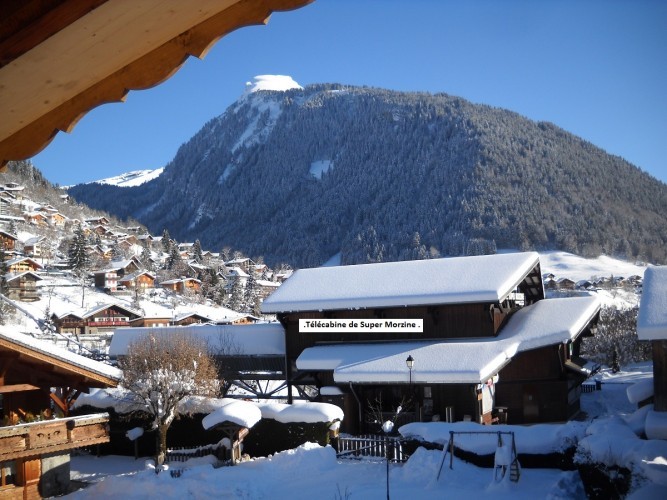 Appartement Bouton d'Or Chalet Les Dryades Morzine