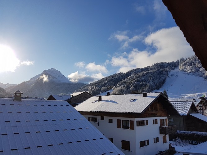 Appartement Bouton d'Or Chalet Les Dryades Morzine