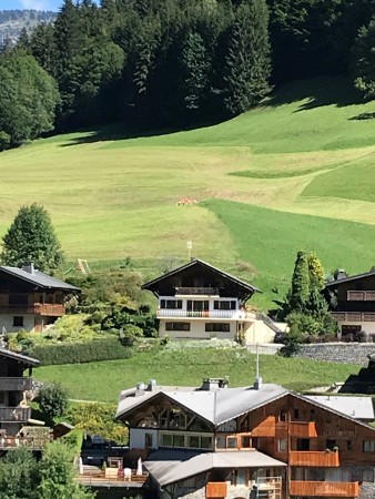 Appartement Chalet Chez Gaby Morzine