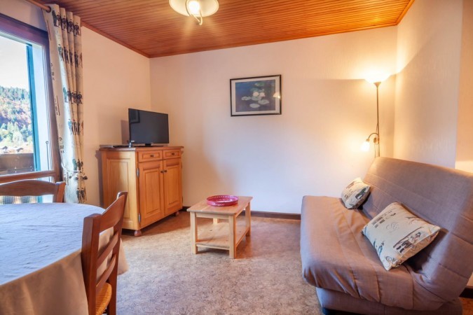  Appartement Chalet Le Goléron Morzine