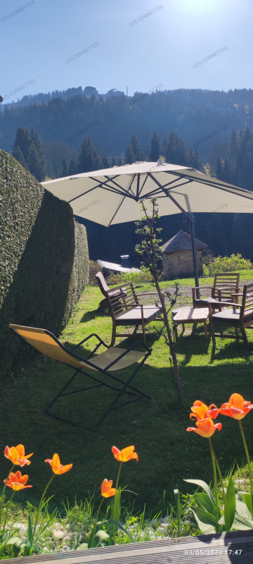 Appartement Chalet Les Cornettes Morzine