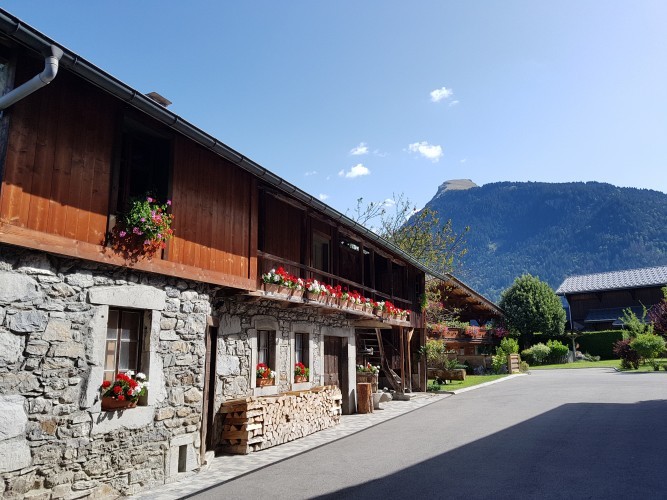 Appartement Les Bleuets Chalet Les Dryades Morzine