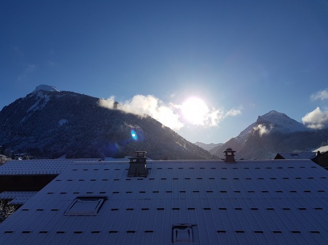 Appartement Les Bleuets Chalet Les Dryades Morzine