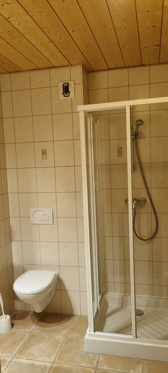 Appartement Les Bleuets Chalet Les Dryades Morzine