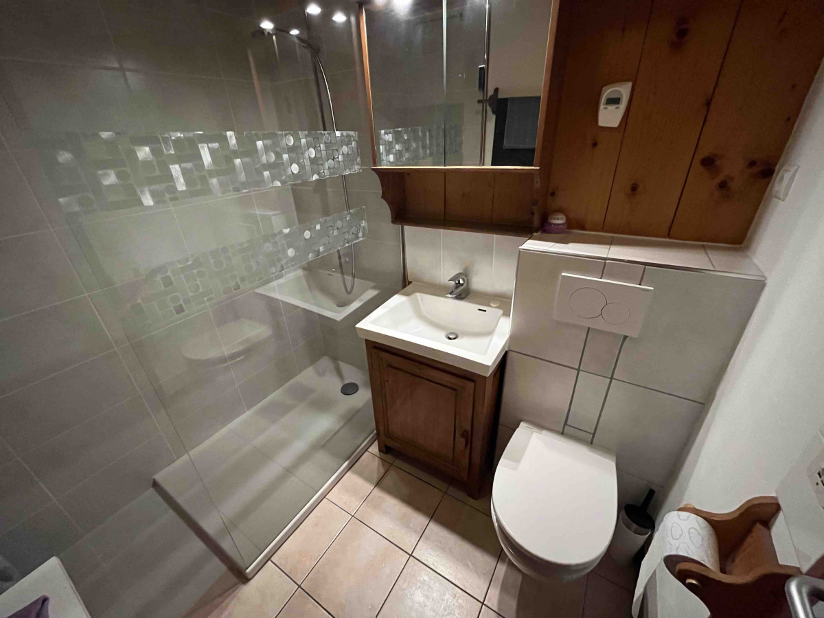 Appartement RICHARD Bruno Morzine