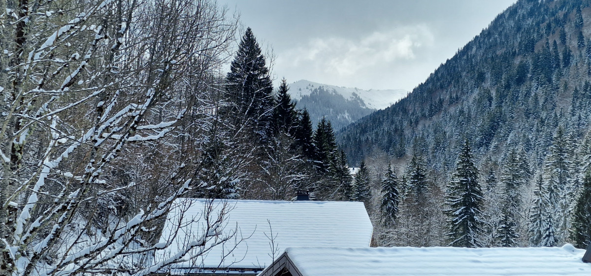 Studio Duplex l'Orée des Pistes Morzine