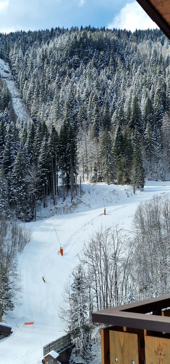 Studio Duplex l'Orée des Pistes Morzine