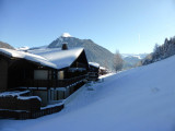 _clients_227411002_photos_23p_7751514