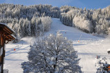 _lv_images__lot_0020392224_06_7751367