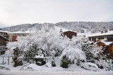_lv_images__lot_0020392323_07_7739301