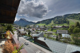 _lv_images__lot_0020392420_10_7742789