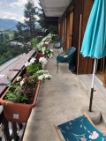 _lv_images__lot_0020392420_11_6103306