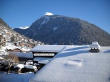 Appartement Les Bleuets Chalet Les Dryades Morzine