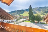 CHALET IDEAL MORZINE