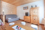 CHALET IDEAL MORZINE