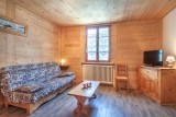 CHALET IDEAL MORZINE